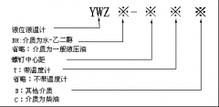 YWZ-100—YWZ液位液温计